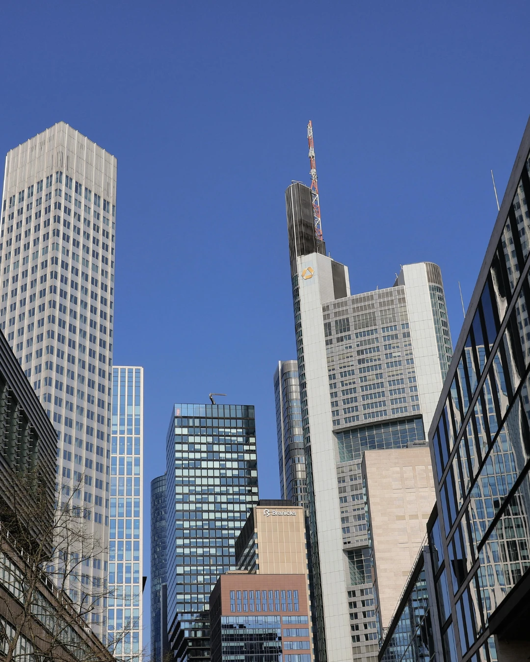 Business Incorporation